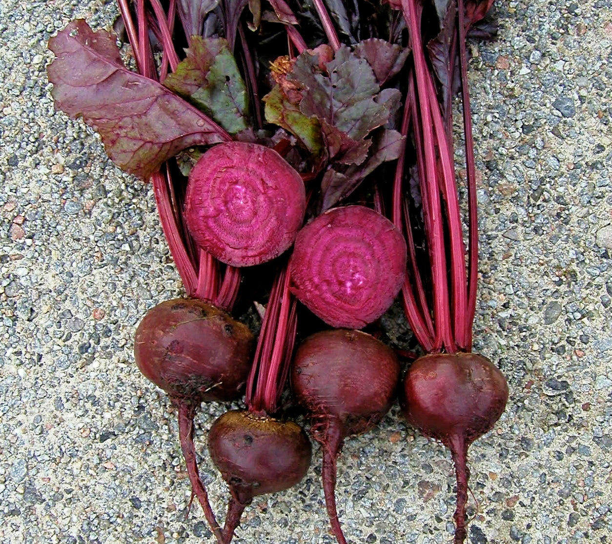 Bull’s Blood – Organic Beet Seed